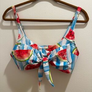 Watermelon Print Bikini Top